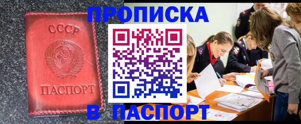 прописка для школы в Можайске
